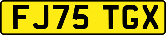 FJ75TGX