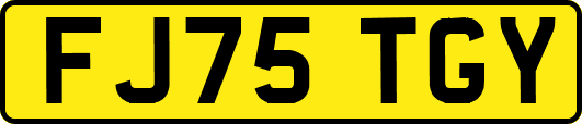FJ75TGY