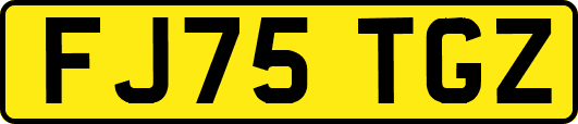 FJ75TGZ