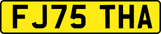 FJ75THA