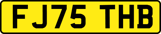 FJ75THB