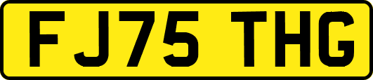 FJ75THG
