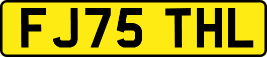 FJ75THL