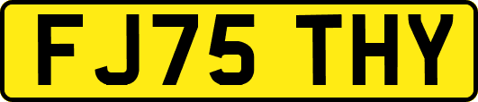 FJ75THY