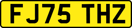 FJ75THZ
