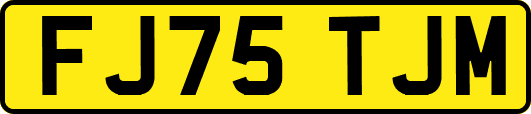 FJ75TJM