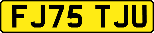 FJ75TJU