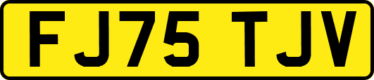 FJ75TJV