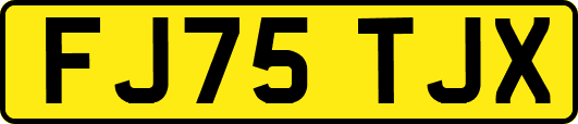 FJ75TJX