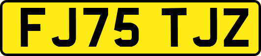 FJ75TJZ
