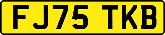 FJ75TKB