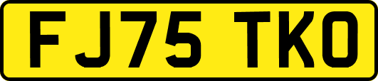 FJ75TKO