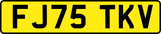 FJ75TKV