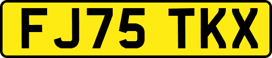 FJ75TKX