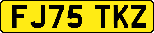 FJ75TKZ