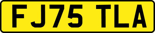FJ75TLA