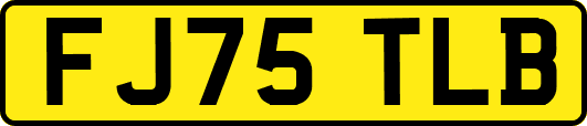 FJ75TLB
