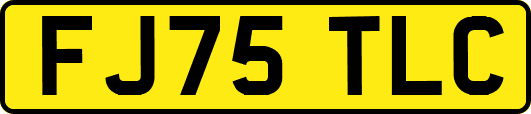 FJ75TLC