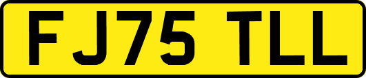 FJ75TLL