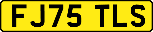 FJ75TLS