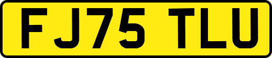 FJ75TLU