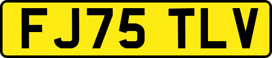 FJ75TLV