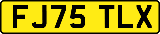 FJ75TLX