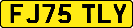 FJ75TLY