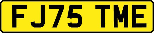 FJ75TME