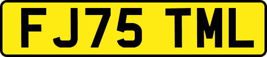 FJ75TML
