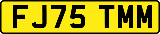 FJ75TMM