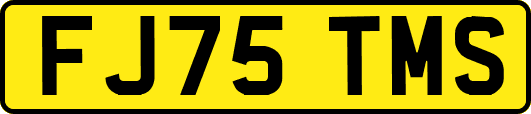 FJ75TMS