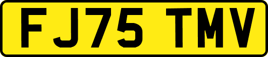 FJ75TMV