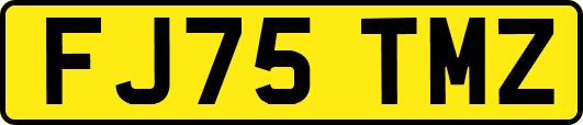 FJ75TMZ