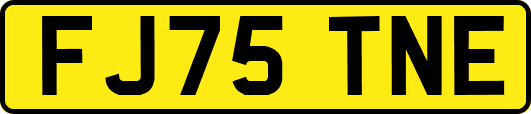 FJ75TNE