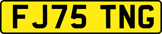 FJ75TNG