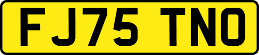 FJ75TNO
