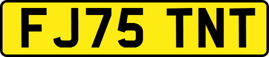 FJ75TNT