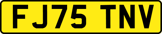 FJ75TNV