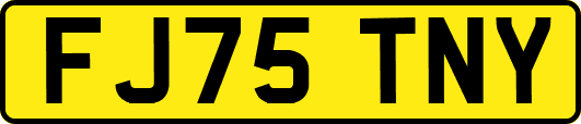 FJ75TNY