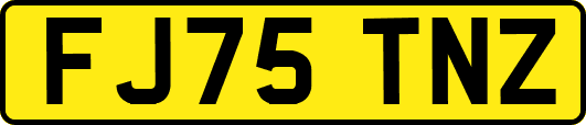 FJ75TNZ