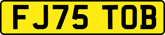 FJ75TOB