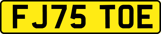 FJ75TOE