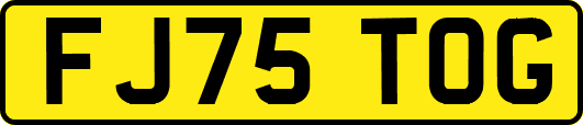 FJ75TOG