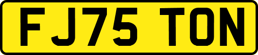 FJ75TON