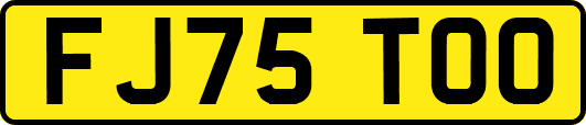 FJ75TOO