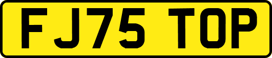FJ75TOP