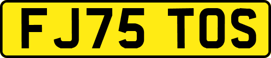 FJ75TOS