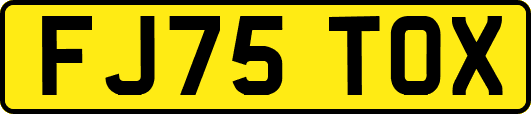 FJ75TOX