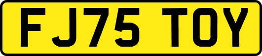 FJ75TOY